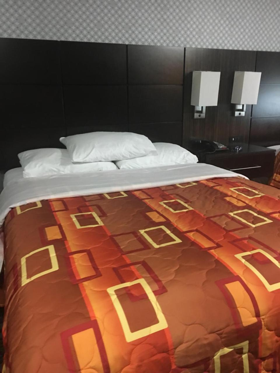 Hotel Red Carpet Elmwood